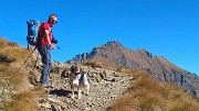 Al Rif. GRASSI (1987 m) e allo ZUC DI CAM (2195 m) da Ceresola (Valtorta) il 14 ottobre 2017  - FOTOGALLERY